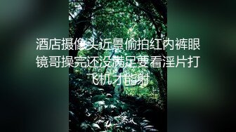 酒店摄像头近景偷拍红内裤眼镜哥操完还没满足要看淫片打飞机才能射