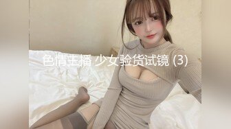 [MP4/ 537M]&nbsp;&nbsp;P站极品翘臀美少妇穿着各式情趣内衣和猛男炮友酒店开房激情啪啪被内射