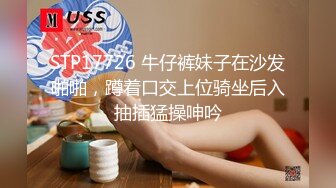 黏黏团子兔 NO.020 黄豆粉