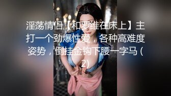 2023年11月新作合集，专业摄影师【JAYS】艺术情色完美融合，美景配佳人相得益彰，色调角度每张都是艺术品