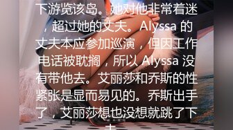 Alyssa 正在当地导游的带领下游览该岛。她对他非常着迷，超过她的丈夫。Alyssa 的丈夫本应参加巡演，但因工作电话被耽搁，所以 Alyssa 没有带他去。艾丽莎和乔斯的性紧张是显而易见的。乔斯出手了，艾丽莎想也没想就跳了下去。