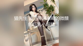 让肥美肉臀体验底下两个洞都被填满的快感