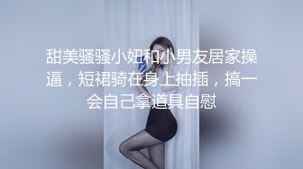 甜美骚骚小妞和小男友居家操逼，短裙骑在身上抽插，搞一会自己拿道具自慰