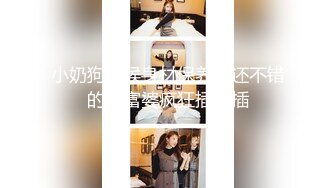 91经典系列资源整理合集P2【105V】 (28)