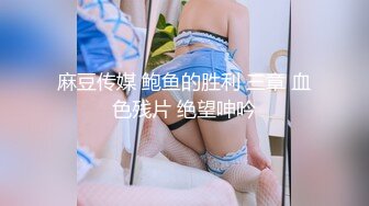 国产麻豆AV MD MD0039 女优面试员 叶一涵