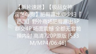 餐厅厕所连续偷拍几个极品少妇