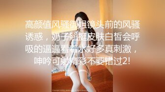 【AI换脸视频】刘亦菲 身着情趣内衣的性感女明星