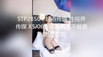 [MP4/1320M]12/24最新 呆哥全套工具齐上SM车模amy口爆吞精VIP1196