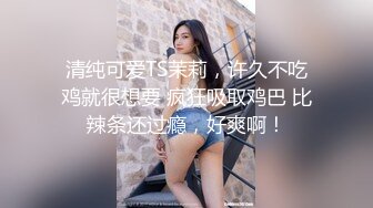 HEYZO 0004-可爱美少女穿女仆装敏感美微乳