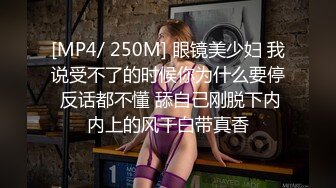 收集的一些淫妻BBC题材的合集2【292V】 (158)