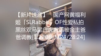 【AI换脸视频】安宁 极品女星，极致享受