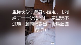 DS003 大象传媒 晨曦捕获小公狗 跟公安妹妹互相检查