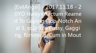 [EvilAngel] - 2017.11.18 - 20YO Haleys Rectum Reamed To Gaping (Top Notch Anal 3, sc2) [0% Pussy, Gagging, Rimming, Cum in Mouth]