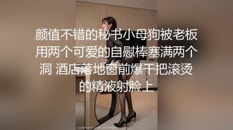 亚洲女孩与她的毛茸茸的猫擦公鸡，让他暨在内裤