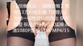 漂亮巨乳女友