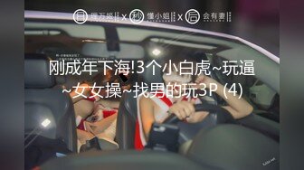 【爆乳女神❤️重磅核弹】高铁紫薇女神『Naomii』性爱内射户外露出VIP订阅 与男友众多刺激场所性爱中出 第二季 (3)