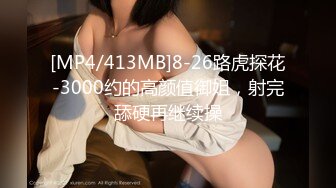 Al&mdash;名井南Mina 女仆萝莉