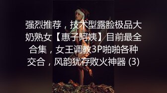 强烈推荐，技术型露脸极品大奶熟女【惠子阿姨】目前最全合集，女王调教3P啪啪各种交合，风韵犹存败火神器 (3)