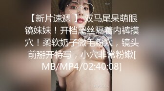 蜜桃传媒PMC035爆乳医生的私密检查-斑斑