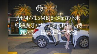 [MP4/ 229M] 抓到一个意淫偷情的巨乳小骚货。女：这么硬是不是想艹我了，想，