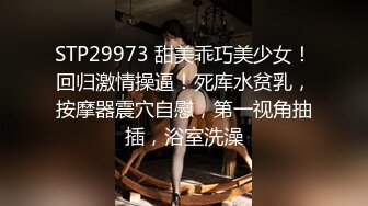 29岁少妇车震