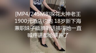 [MP4]麻豆传媒-屌丝逆袭攻略KTV激情性爱深入享受-蜜苏