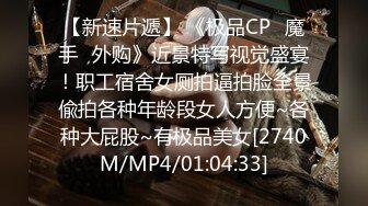 【中文字幕】「お前の奥さんに恋人のフリをして欲しいんだ…。」 亲友に恳愿されて最爱の妻を贷し出した仆の最悪な结末…。