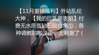 【11月重磅福利】外站乱伦大神，【我的巨乳亲表姐】付费无水原版钻石贴合集①，各种调教啪啪淫语，太刺激了 (1)