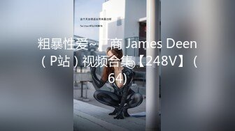 粗暴性爱~厂商 James Deen（P站）视频合集【248V】 (64)