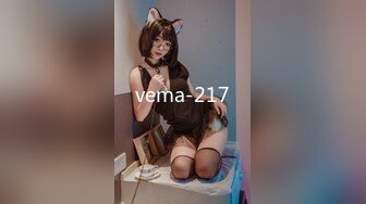 vema-217