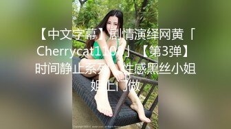 【中文字幕】剧情演绎网黄「Cherrycat1108」【第3弹】时间静止系列，性感黑丝小姐姐上门做