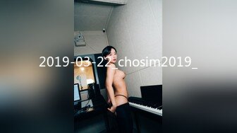 2019-03-22_chosim2019_