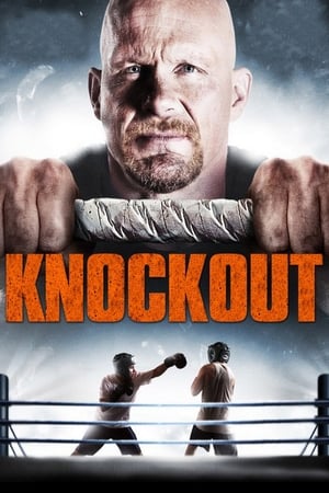 Born to Fight 2011 Dual Audio | Dubbed Hindi Movie BluRay 300MB