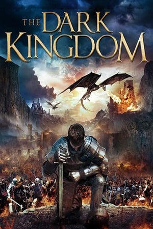 Dragon Kingdom (2018) Dual Audio | Dubbed Hindi Movie BluRay 300MB