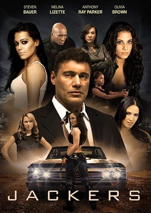 Jackers 2010 Dual Audio | Dubbed Hindi Movie BluRay 300MB