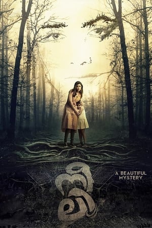Neeli (2018) ( – Malayalam) Dual Audio | Dubbed Hindi Movie UnCut HDRip [1.2GB]