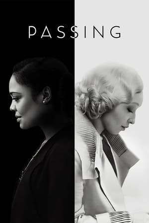 Passing 2021 Dual Audio | Dubbed Hindi Movie Web-DL [1.2GB]
