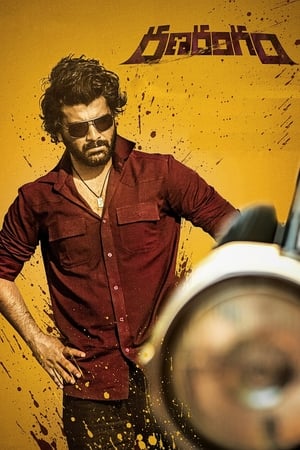 Ranarangam 2019 ( – Telugu) Dual Audio UnCut HDRip 450MB