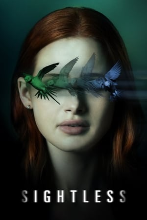 Sightless 2020 Dual Audio | Dubbed Hindi Movie Web-DL [800MB]