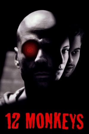 Twelve Monkeys (1995) Dual Audio Movie | Dubbed Hindi Movie BluRay - 2.9GB